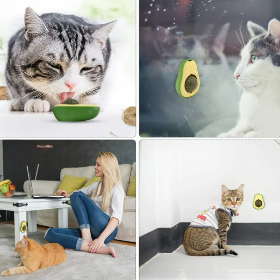 cd1a22ee865341ee9305f4204c486686 cd1a22ee865341ee9305f4204c486686